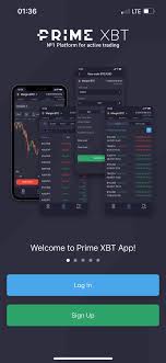 Unlocking Profits in PrimeXBT Forex Trading